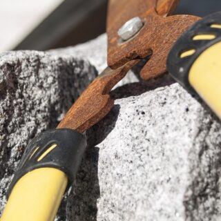 Die Heckenschere der Rückschau